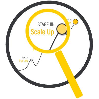 4 Stages Guide to Growth